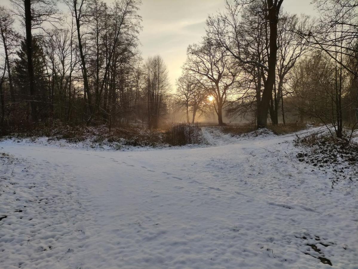 Ferienhaus Erna Doberlug-Kirchhain Zewnętrze zdjęcie