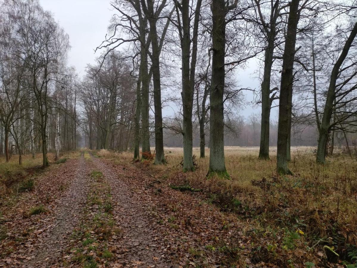 Willa Ferienhaus Erna Doberlug-Kirchhain Zewnętrze zdjęcie