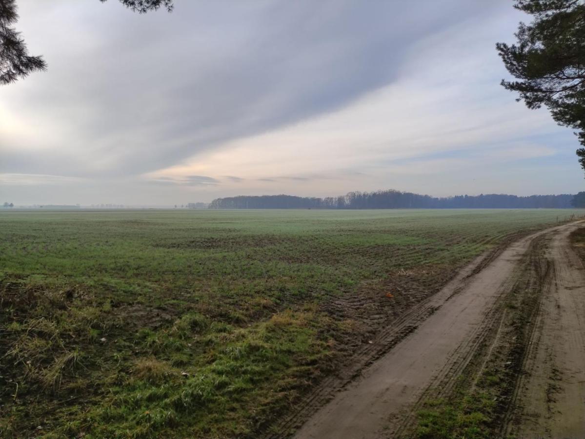 Ferienhaus Erna Doberlug-Kirchhain Zewnętrze zdjęcie
