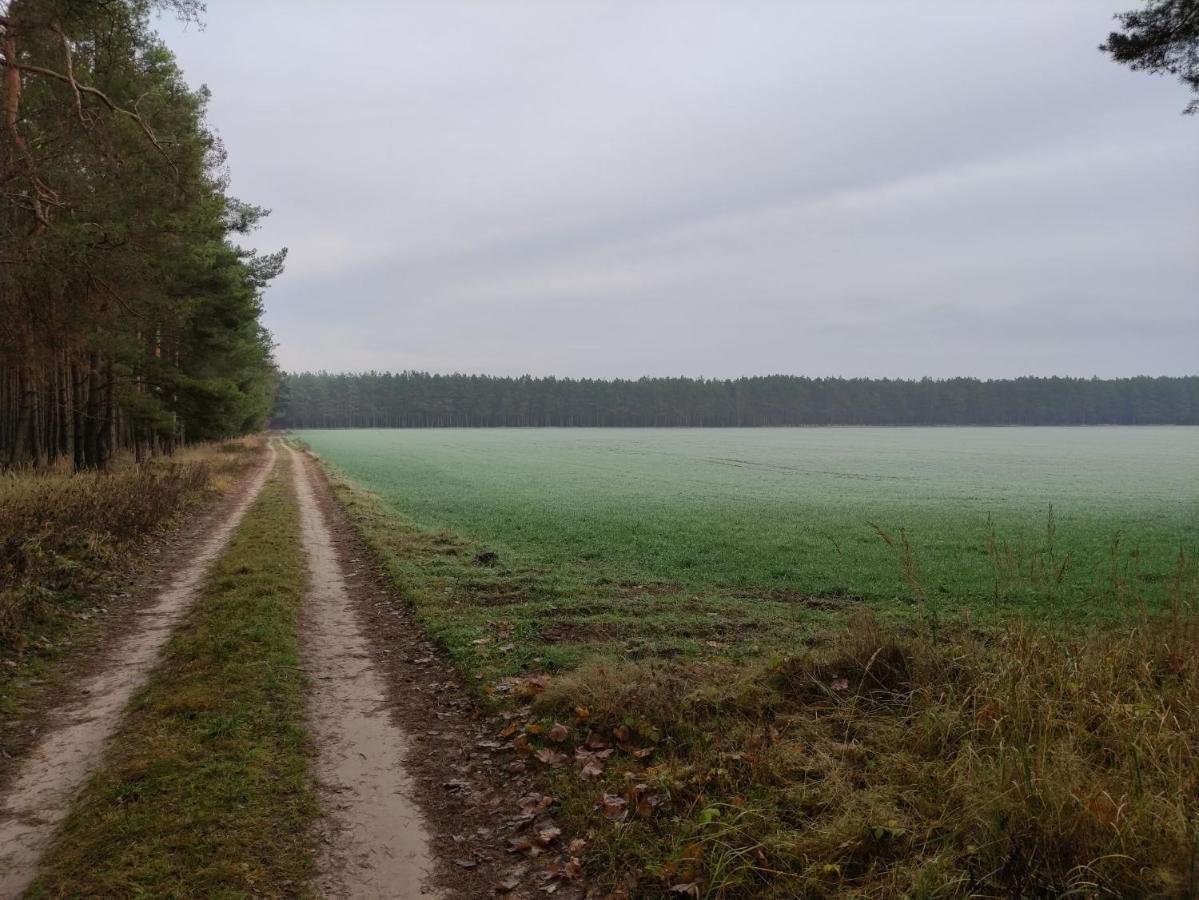 Willa Ferienhaus Erna Doberlug-Kirchhain Zewnętrze zdjęcie