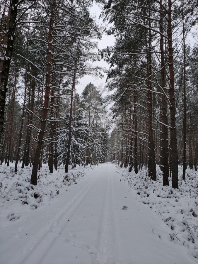 Ferienhaus Erna Doberlug-Kirchhain Zewnętrze zdjęcie