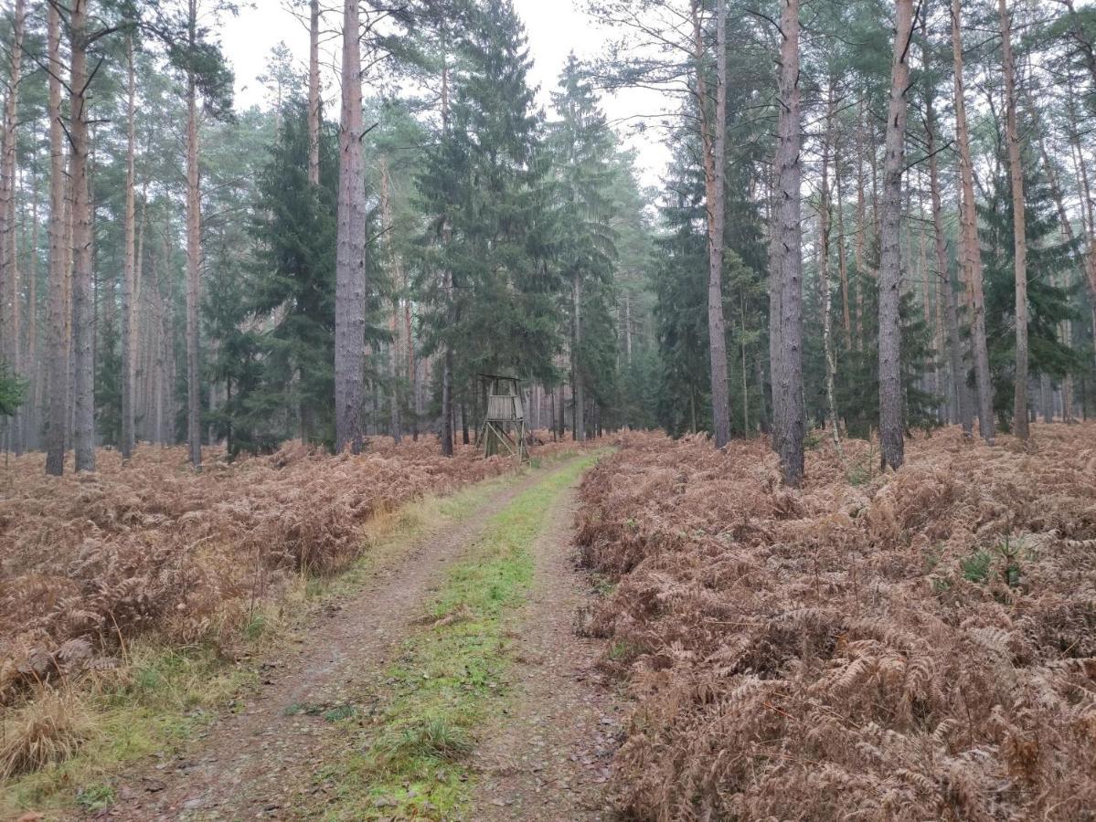 Ferienhaus Erna Doberlug-Kirchhain Zewnętrze zdjęcie