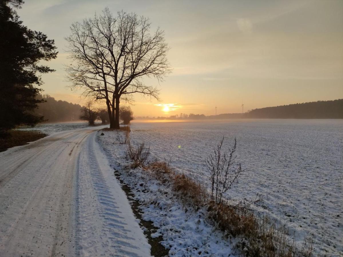Ferienhaus Erna Doberlug-Kirchhain Zewnętrze zdjęcie