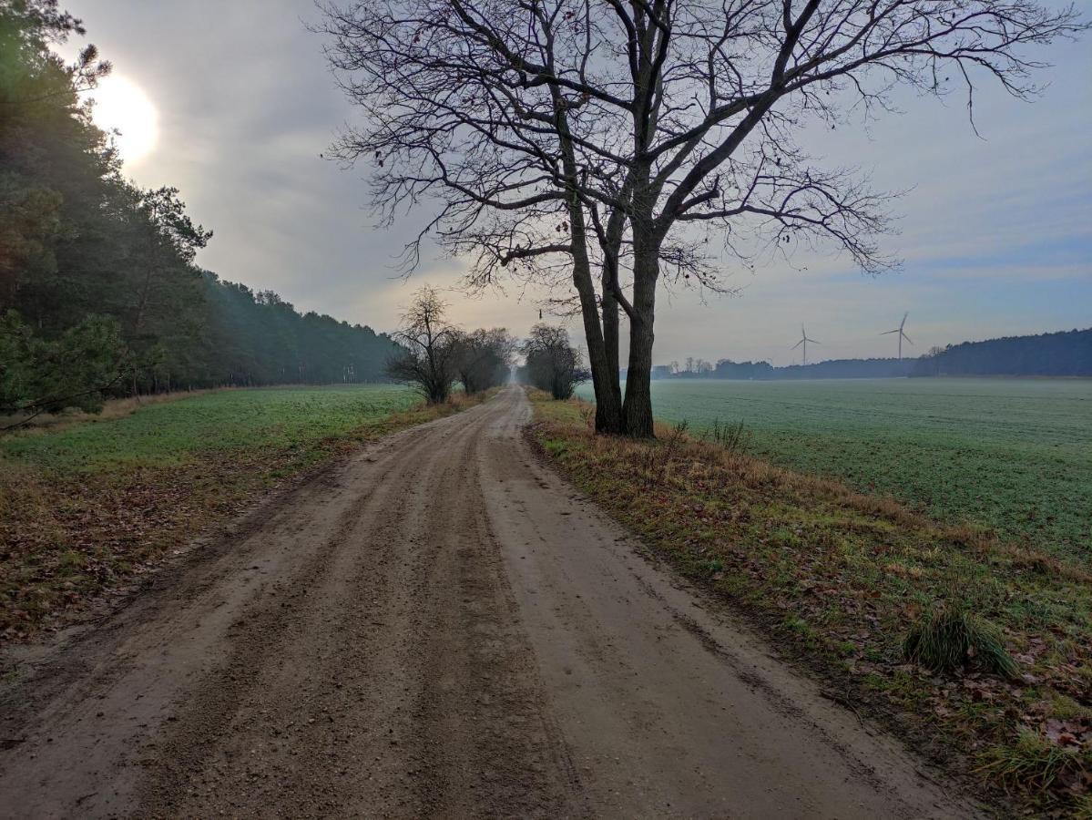 Willa Ferienhaus Erna Doberlug-Kirchhain Zewnętrze zdjęcie