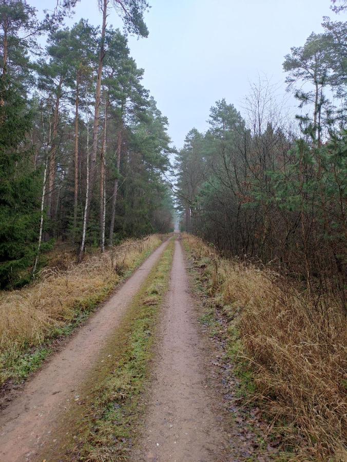 Ferienhaus Erna Doberlug-Kirchhain Zewnętrze zdjęcie