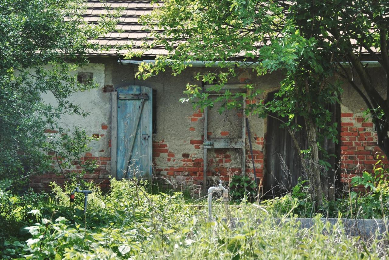 Willa Ferienhaus Erna Doberlug-Kirchhain Zewnętrze zdjęcie