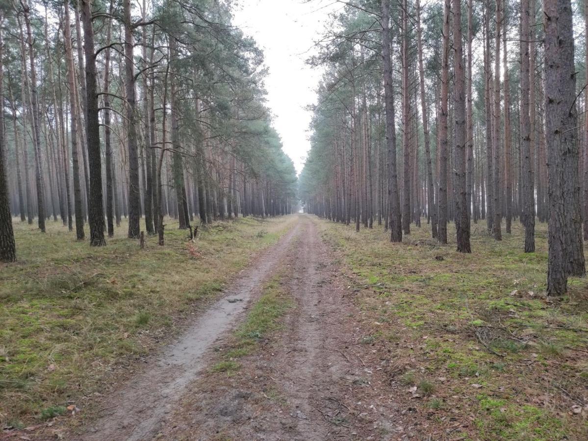 Ferienhaus Erna Doberlug-Kirchhain Zewnętrze zdjęcie