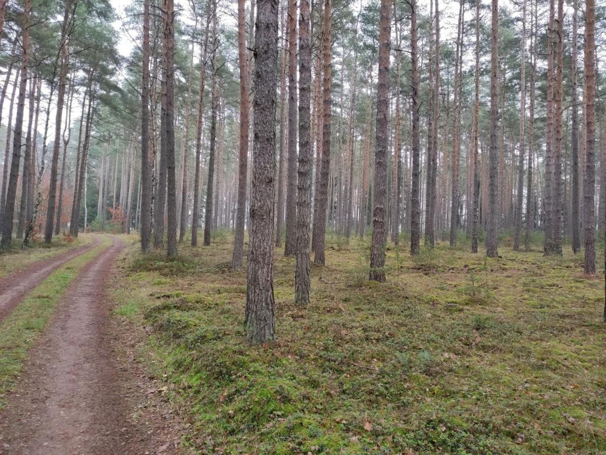 Willa Ferienhaus Erna Doberlug-Kirchhain Zewnętrze zdjęcie