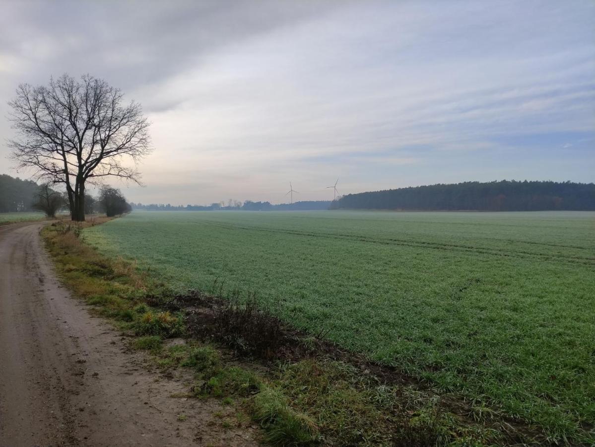 Ferienhaus Erna Doberlug-Kirchhain Zewnętrze zdjęcie