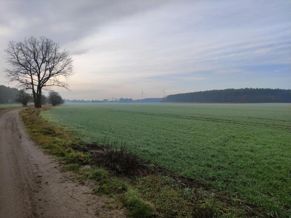 Willa Ferienhaus Erna Doberlug-Kirchhain Zewnętrze zdjęcie