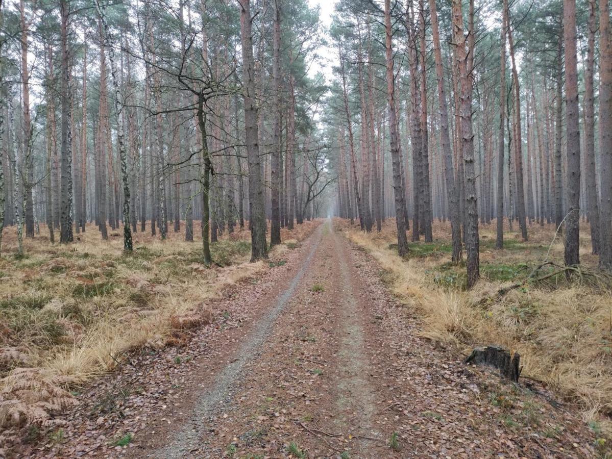 Willa Ferienhaus Erna Doberlug-Kirchhain Zewnętrze zdjęcie