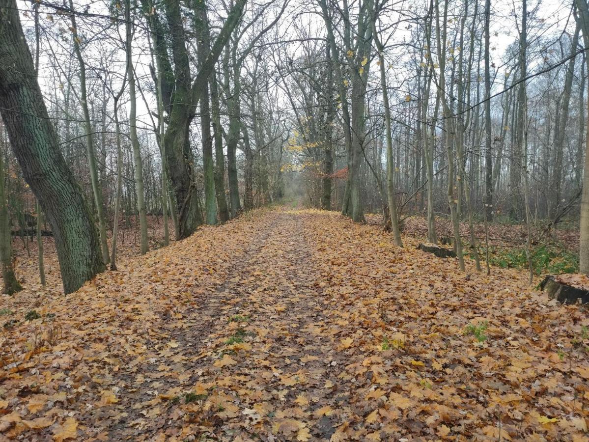 Willa Ferienhaus Erna Doberlug-Kirchhain Zewnętrze zdjęcie